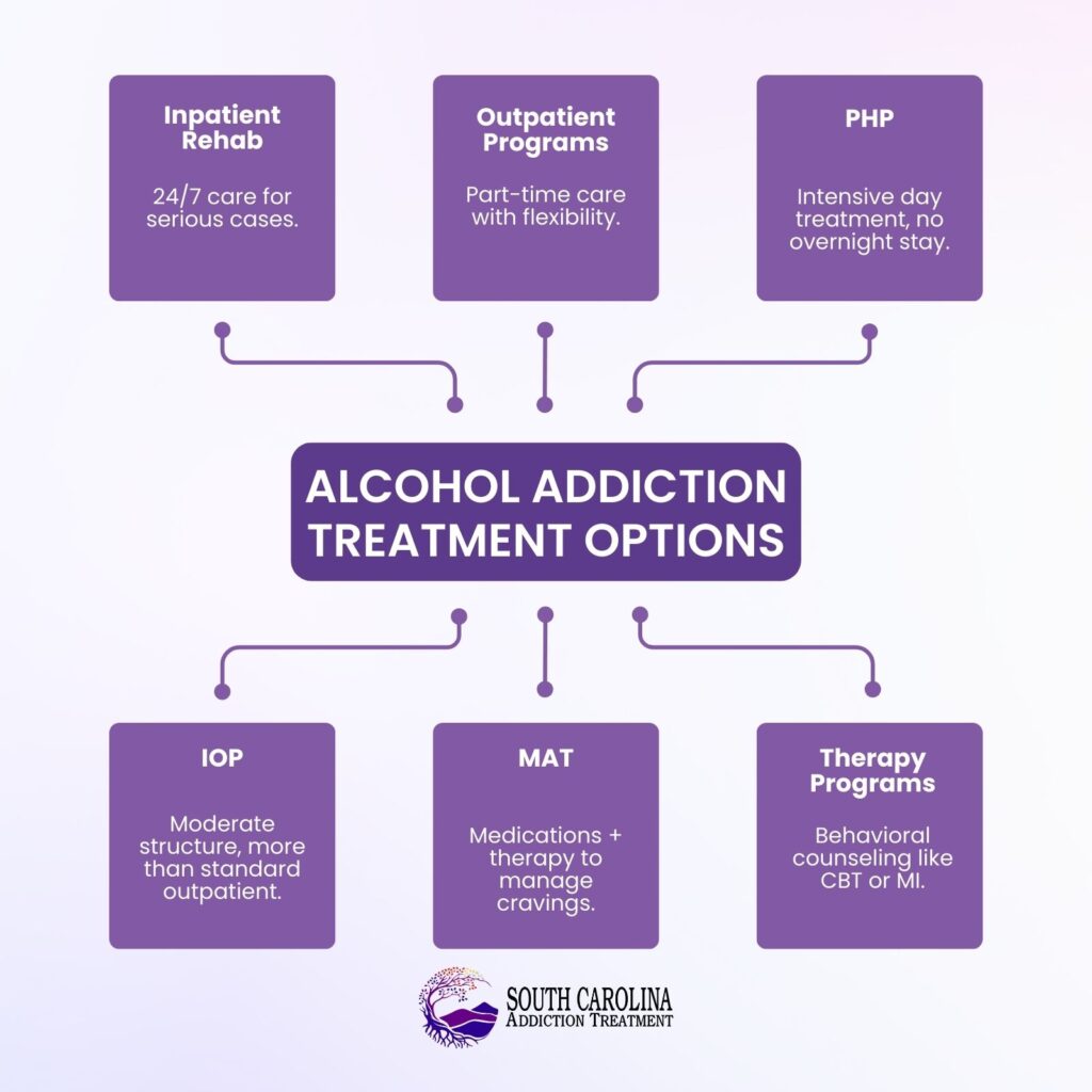 Alcohol Addiction Treatment Options