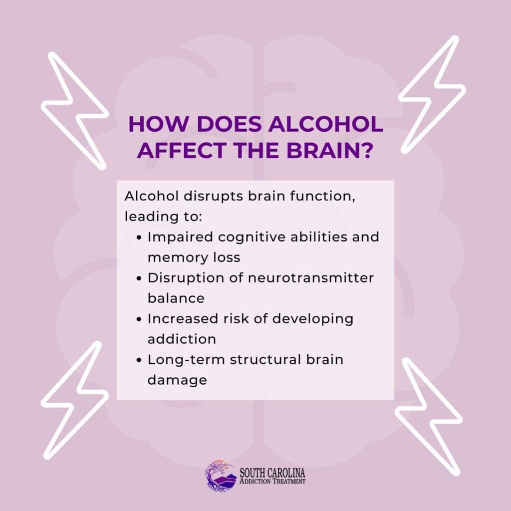 How Does Alcohol Affect the Brain