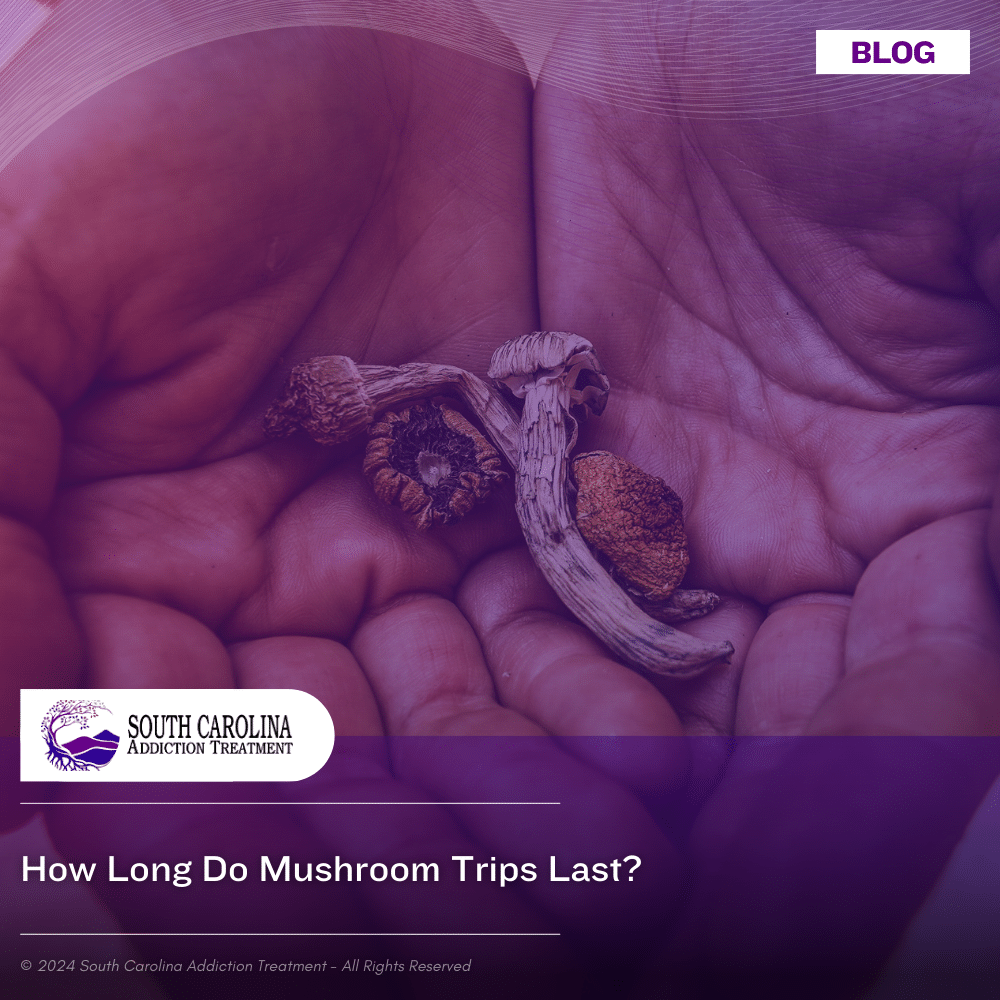 How Long Do Mushroom Trips Last?