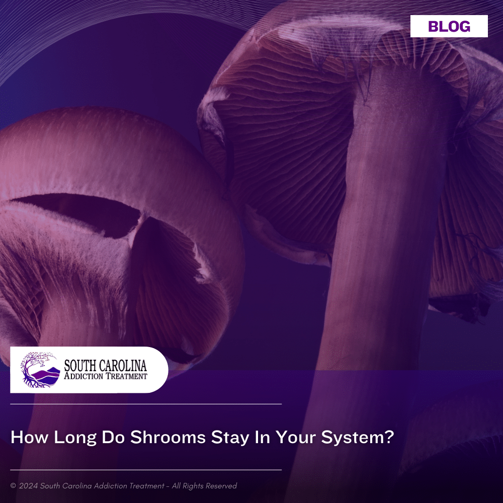 How Long Do Shrooms Stay in Your System?