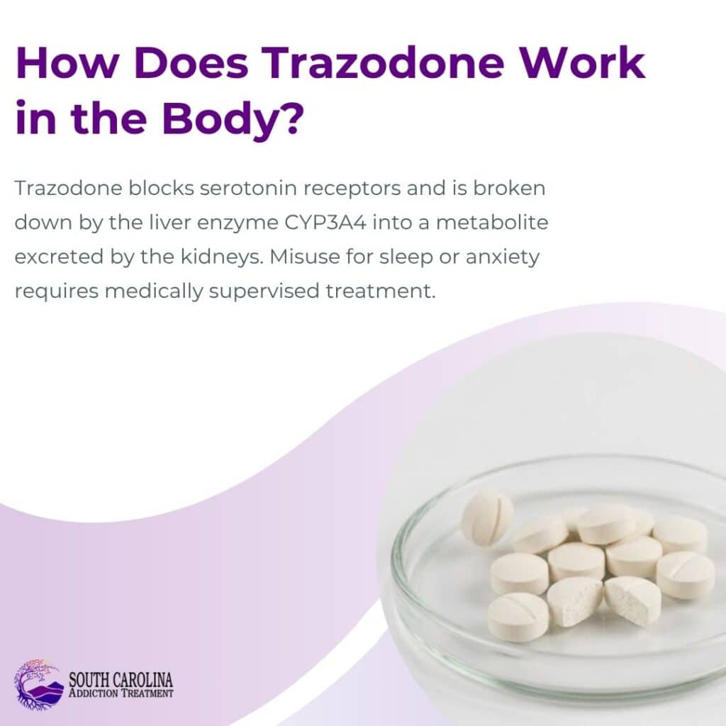 How Does Trazodone Work in the Body