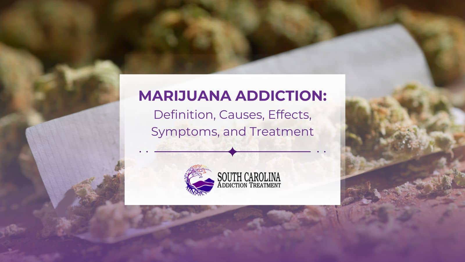 Marijuana Addiction: Definition, Causes, Effects, Symptoms, and Treatment