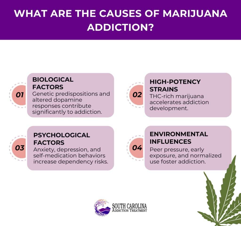What Are the Causes of Marijuana Addiction