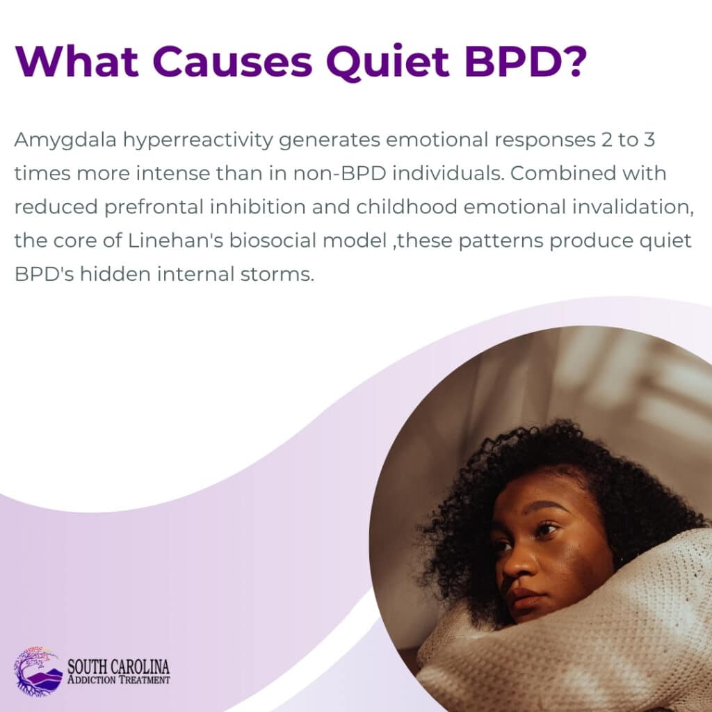 What Causes Quiet BPD