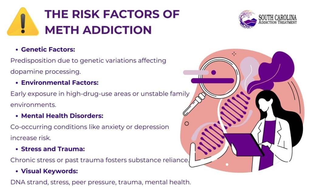 What are the Risk Factors of Meth Addiction