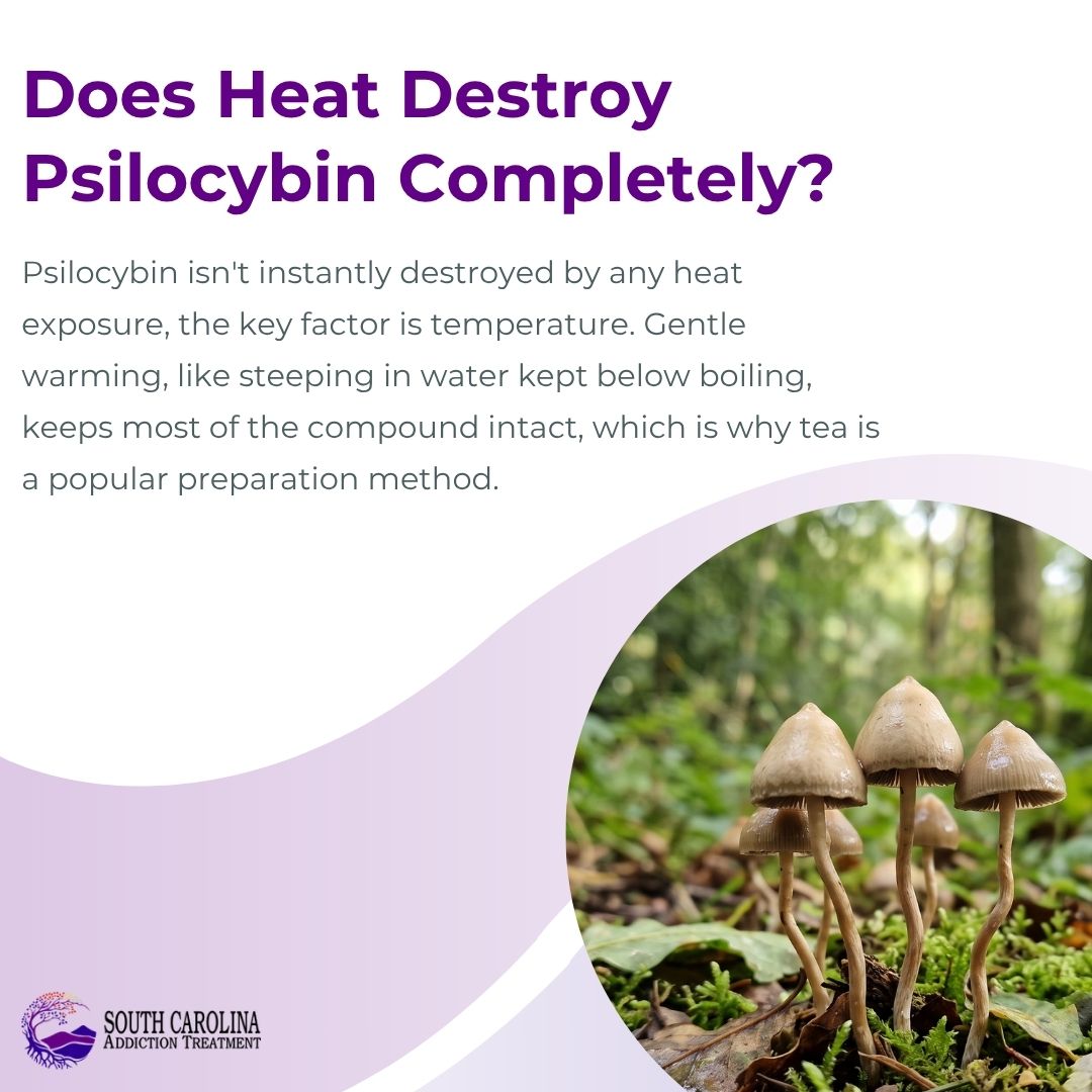 Does Heat Destroy Psilocybin Completely