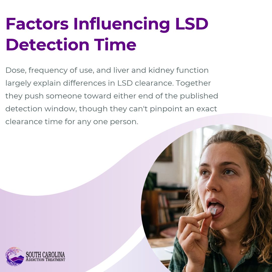 Factors Influencing LSD Detection Time Metabolism and Elimination