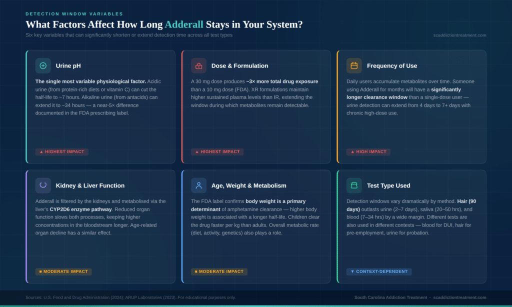 Infographic listing the key factors that affect how long Adderall stays in your system, including age, metabolism, urine pH, and kidney function