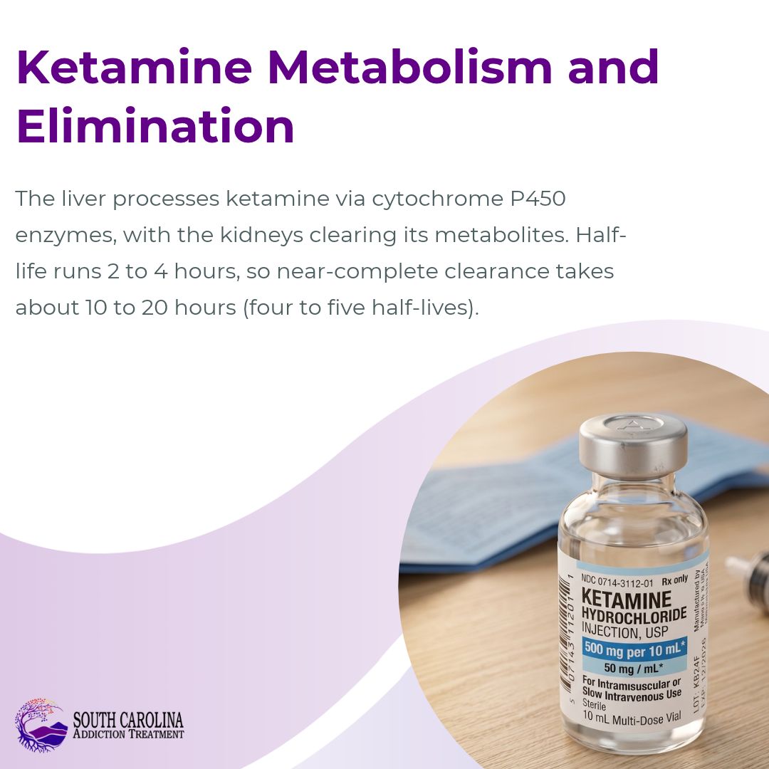 Ketamine Metabolism and Elimination