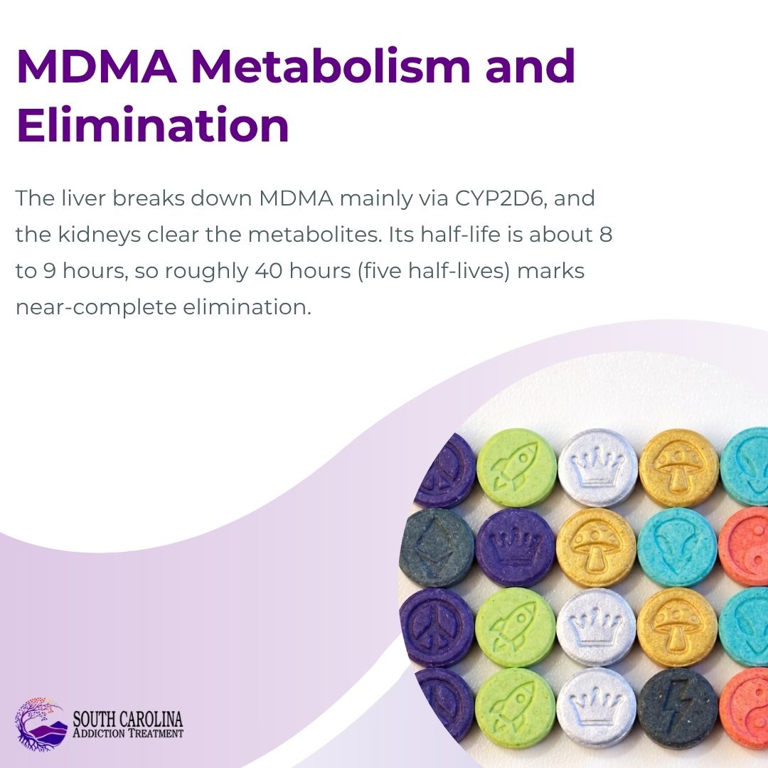 MDMA Metabolism and Elimination