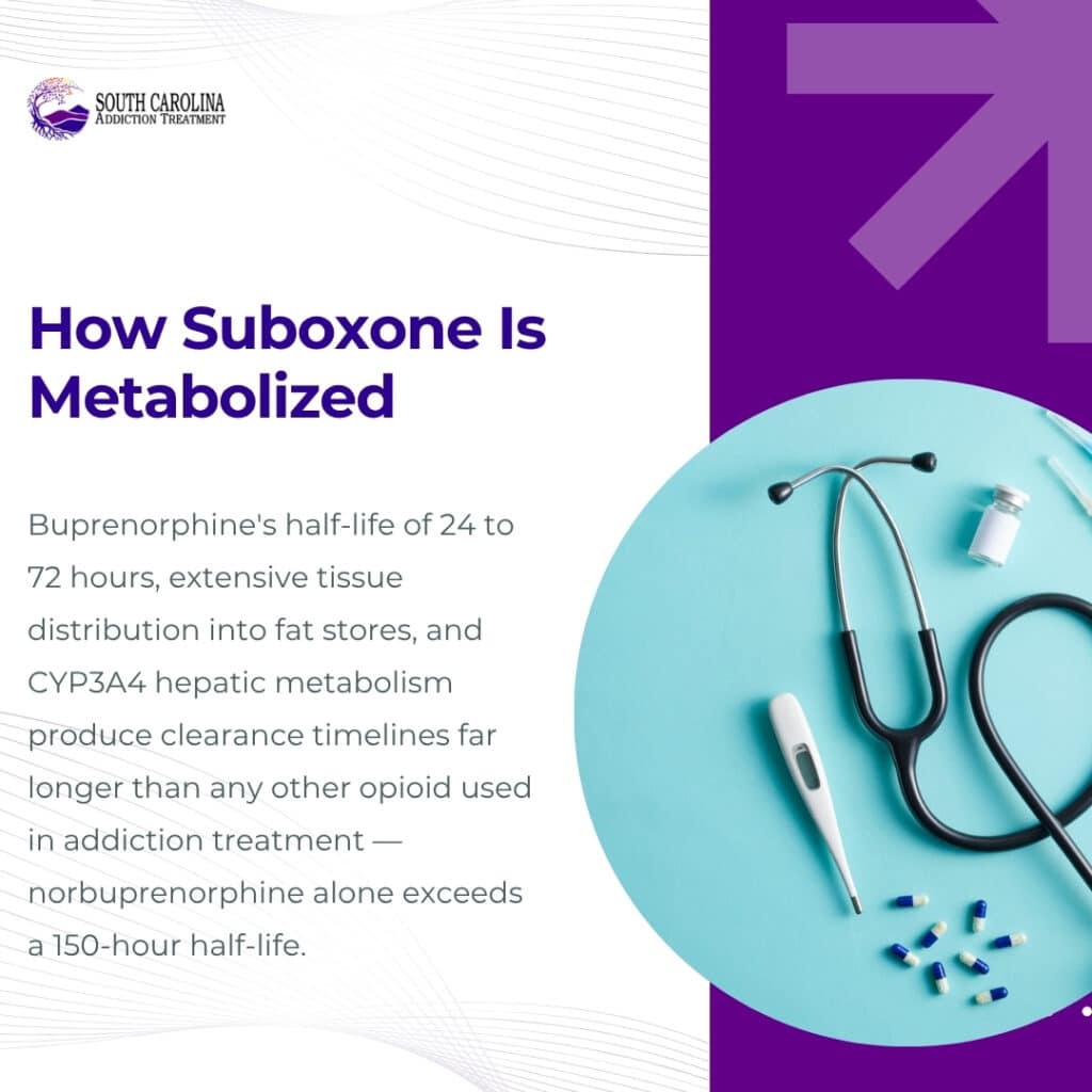 metabolism of buprenorphine and norbuprenorphine