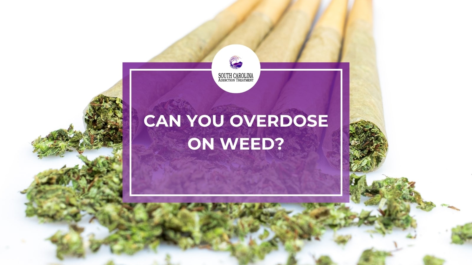 Can You Overdose on Weed?