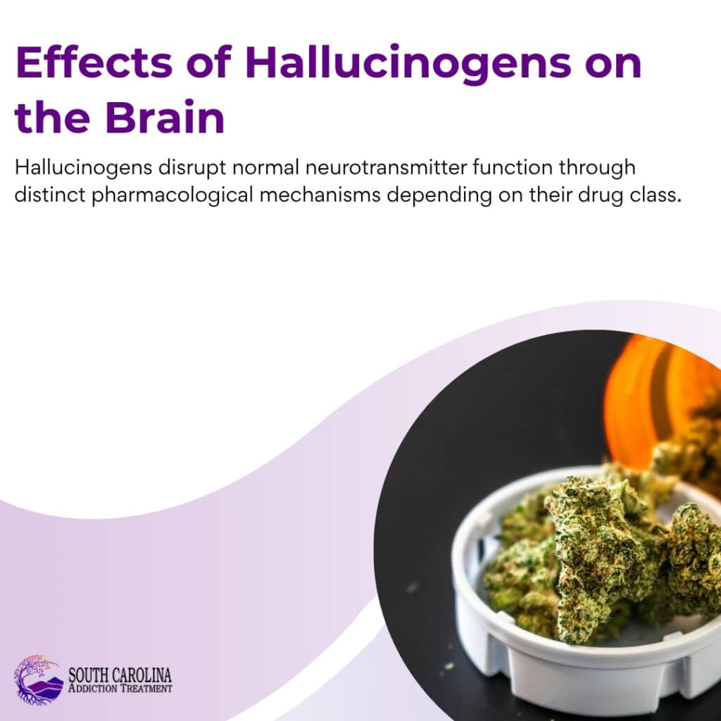 Hallucinogens effects