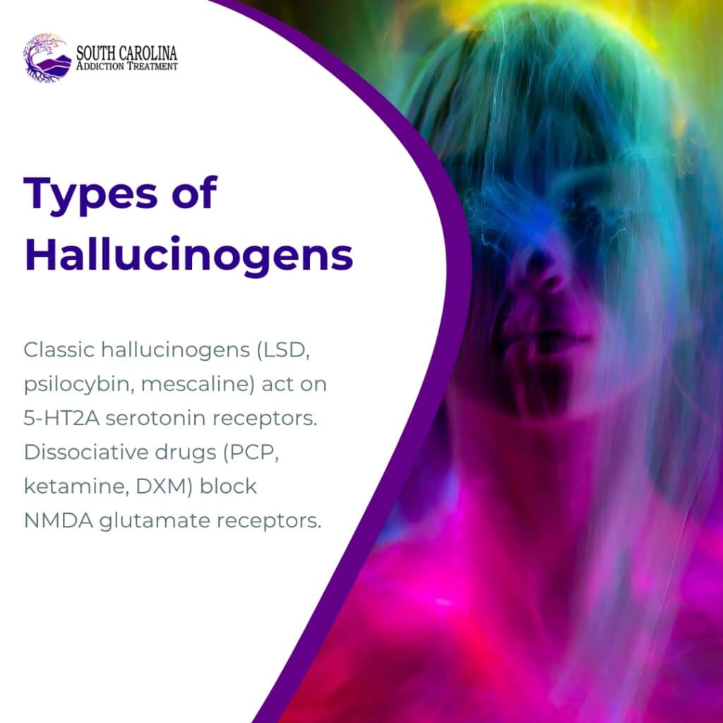 types of hallucinogens